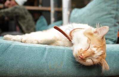 Кафе-Студия Б-67