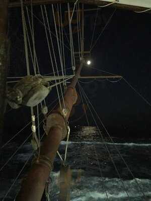 Флибустьер