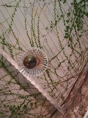 Таверна Дионис