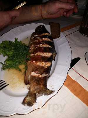 Чешское пиво