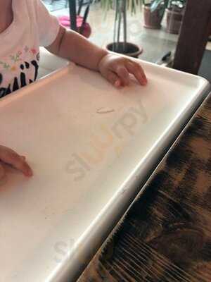 Челентано Бар