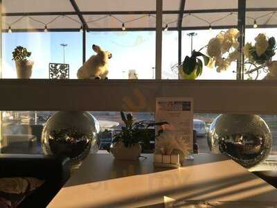 Арт-кафе  "Белый Кролик"