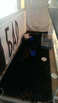 Арт-кафе  "Белый Кролик"