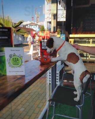 Органик Бар