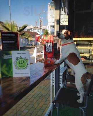 Органик Бар