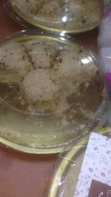 Шашлычный двор