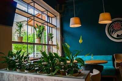 Brew Bar Palermo Coffee