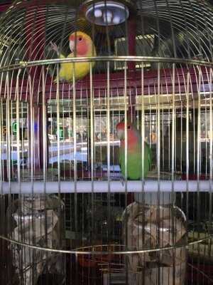 Пиццерия Luka Pizza