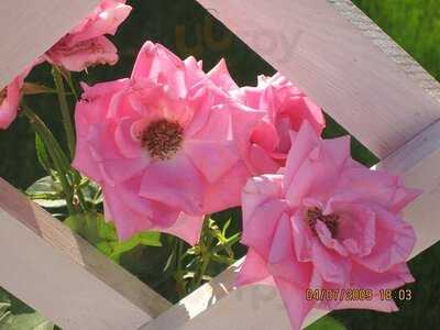 Старая мельница