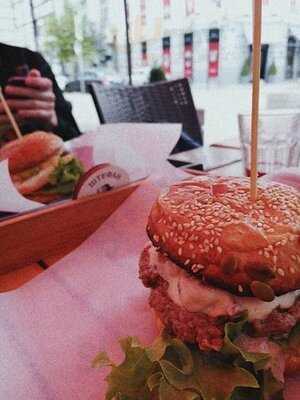 Штефан бургер