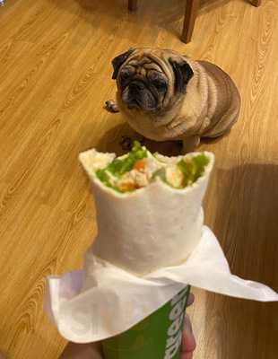 Вкуснолюбов