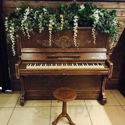 Лаунж-Бар Шуга