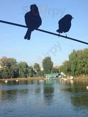 Тихая гавань