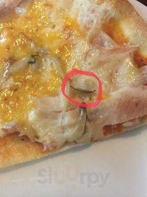 Tesla Лаборатория Eды