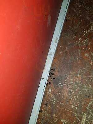 108 Чайников