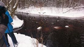 Черная Речка