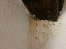 Старая мельница