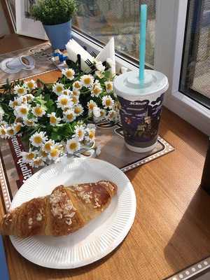 Булки на раздолье