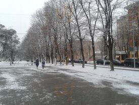 Вега