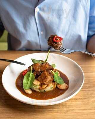 Гастропапы