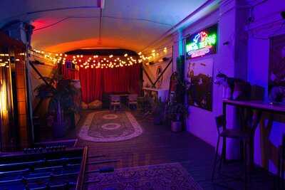 Собаки в тумане