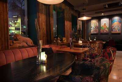 Собаки в тумане