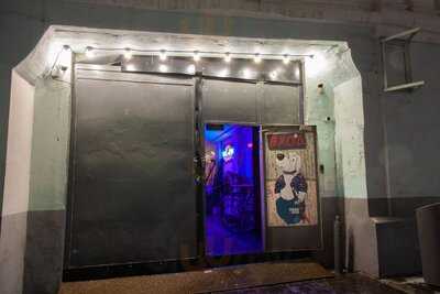 Собаки в тумане