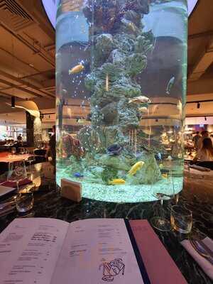 Ресторан Sea, Signora