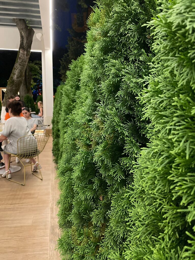 Бариста&Повариста