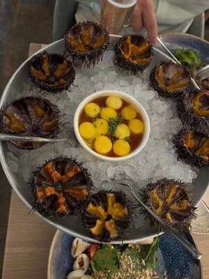 Fish Культура