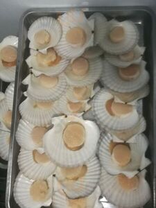 РыбаЛюбовь