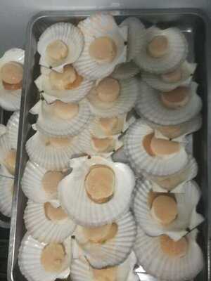 РыбаЛюбовь