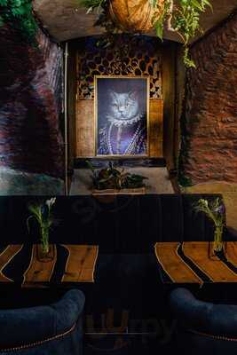 Cats & Wine Гастробар