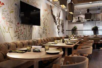 M2  Органик Kлуб