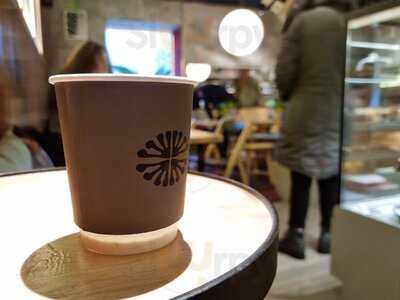 Surf Coffee X Lovely