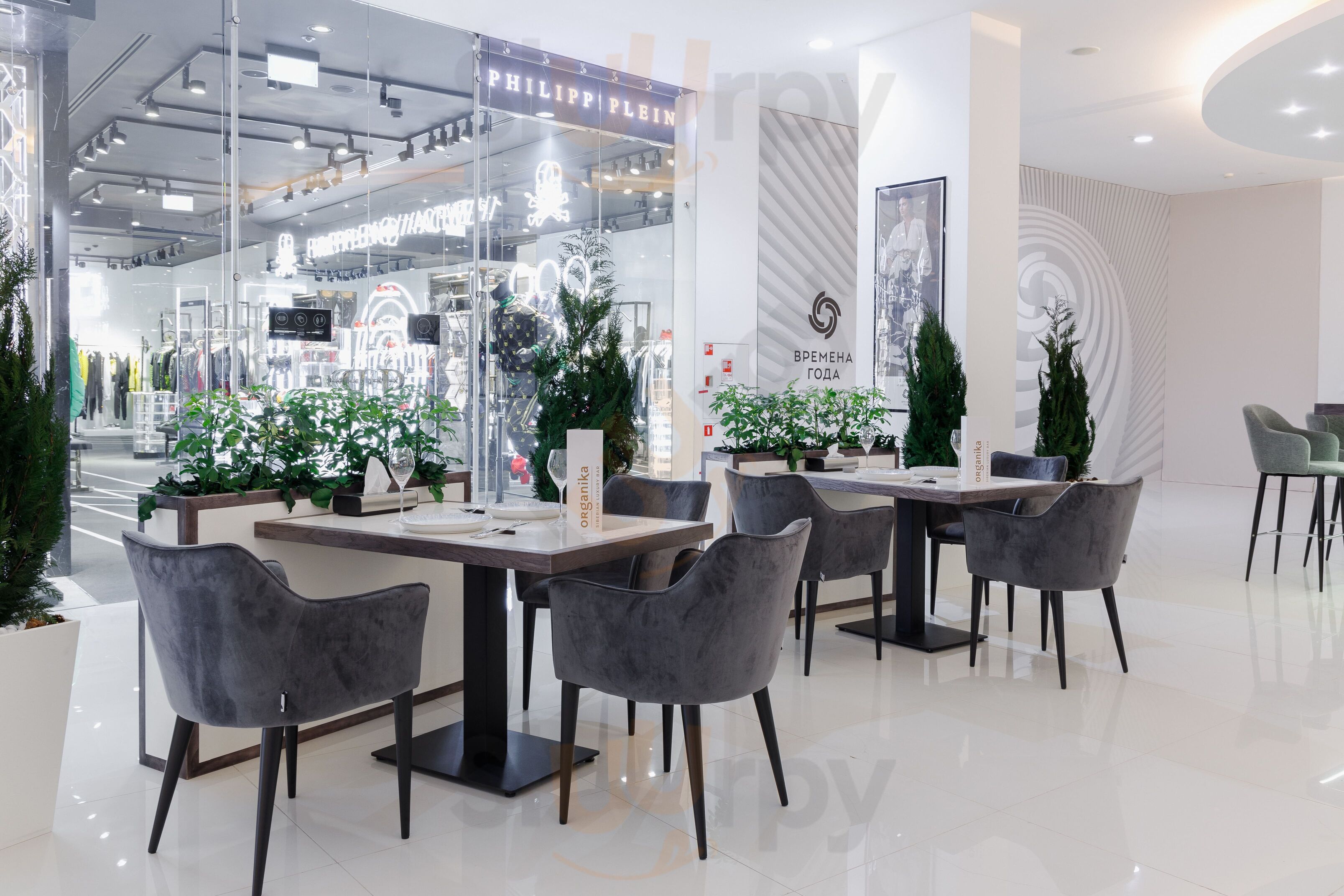 Органика Бар