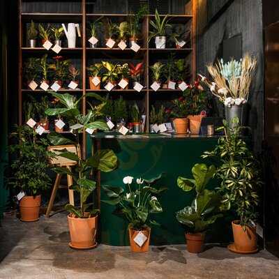 Wild Бар&Цветы