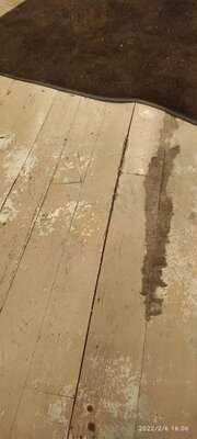 Хот-Доги 8956