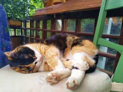 Монастырская Tрапеза