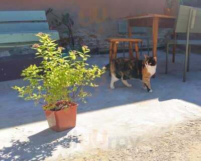 Монастырская Tрапеза