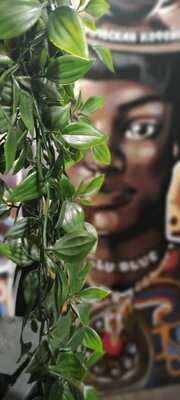 Кофейня Magic&coffee