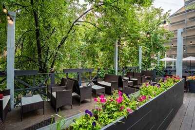 Феромон Петроградская