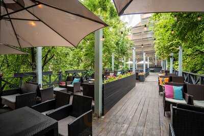 Феромон Петроградская