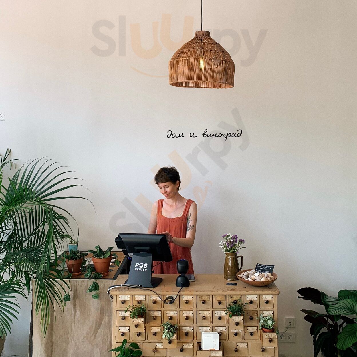 Дом и Виноград