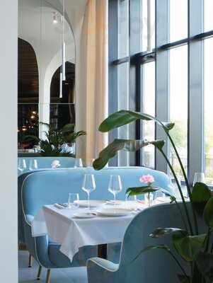 Белая Чайка