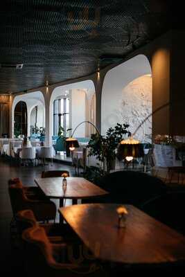 Белая Чайка