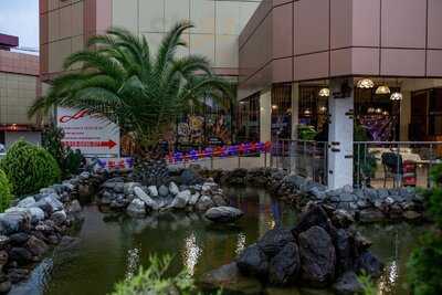 Караоке-клуб Бархат