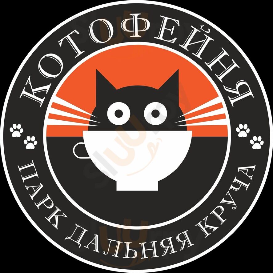 Котофейня в Парке Дальняя Круча