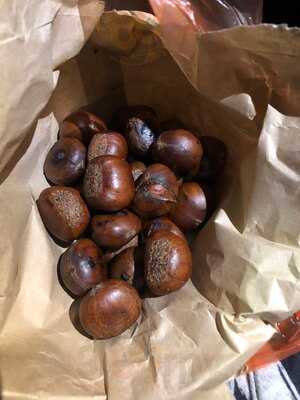 East Coast Lagoon Food Village