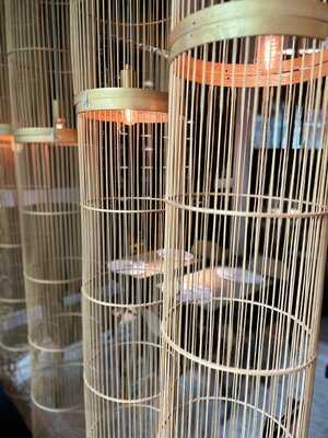 Arteastiq Boutique Tea House